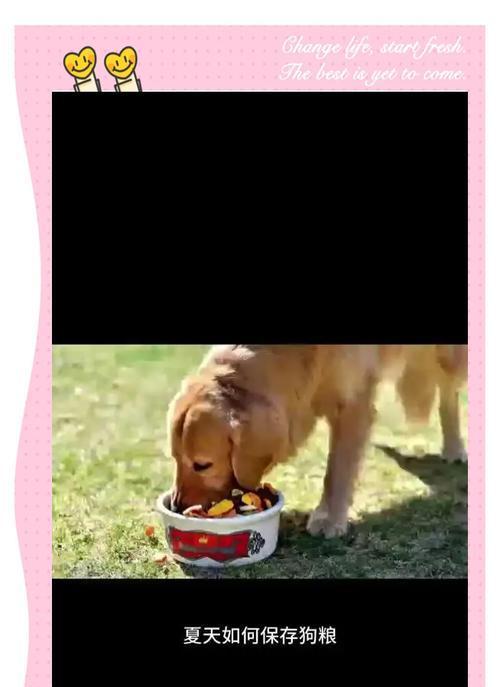 如何让狗学会吃狗粮和喝水呢啊？训练狗狗饮食习惯的方法有哪些？