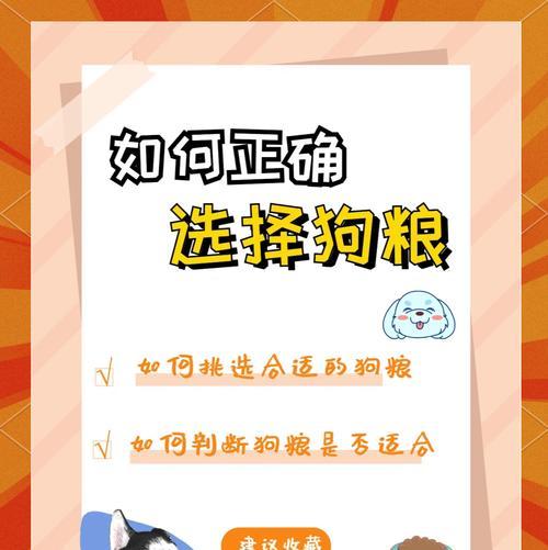 如何让狗学会吃狗粮和喝水呢啊？训练狗狗饮食习惯的方法有哪些？