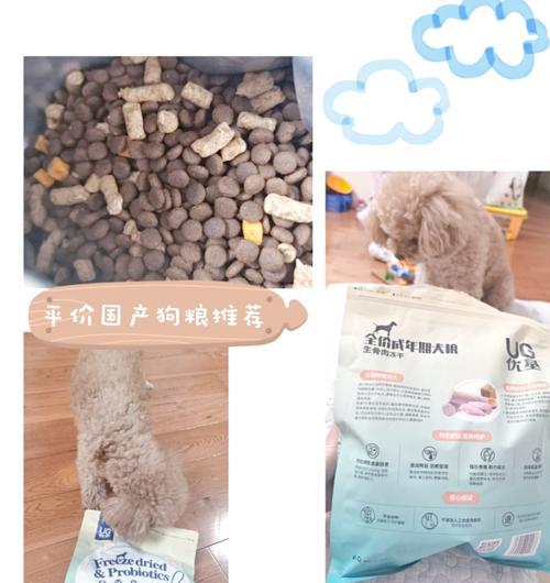 小泰迪适合哪种狗粮？如何选择合适的狗粮品牌？