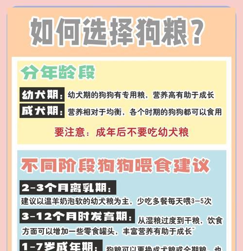 成年大中型犬一天吃多少狗粮可以饱腹吗？如何确保营养均衡？