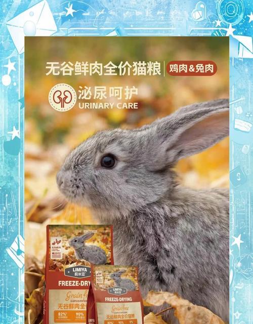 加菲猫肠胃不好应该吃什么猫粮？哪个牌子的猫粮更适合？