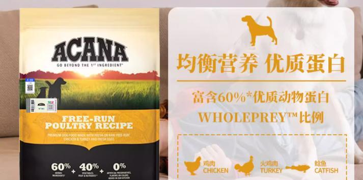 比熊多吃狗粮是否合适？正确的喂食方法是什么？
