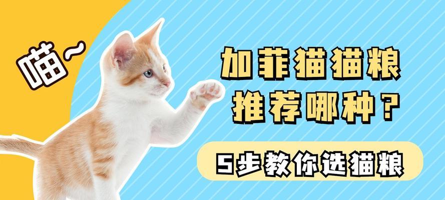 加菲猫喜欢吃什么牌子的猫粮？有哪些好吃又实惠的选择？
