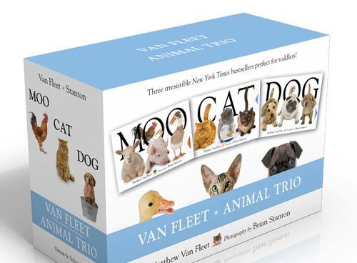 猫在英语中是宠物还是家畜？如何用英语表达猫的地位？