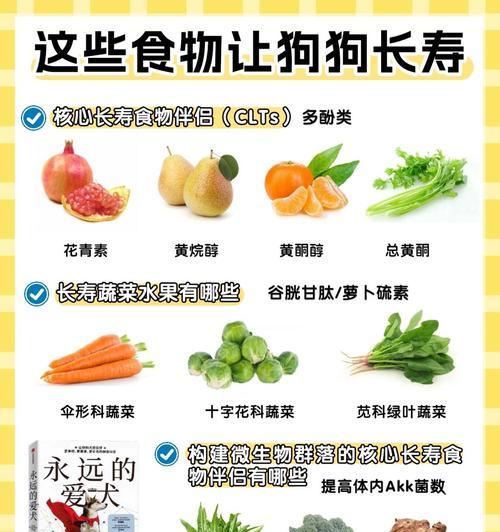 成年大中型犬每天狗粮量是多少？如何科学喂养？