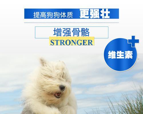 古牧幼犬每天的狗粮摄入量应该是多少？怎样喂食最健康？