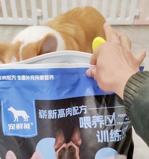 哪种狗粮最适合贵宾犬训犬？