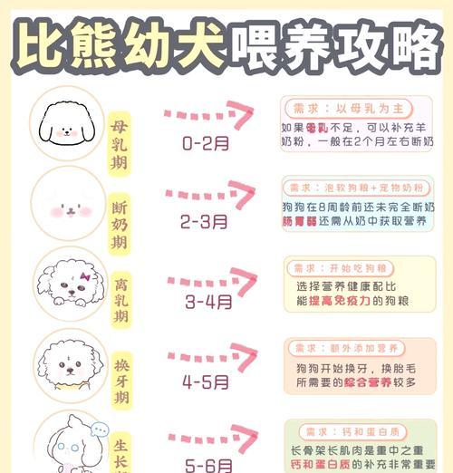比熊幼犬能吃鹌鹑蛋清吗？如何平衡蛋清和狗粮的摄入量？