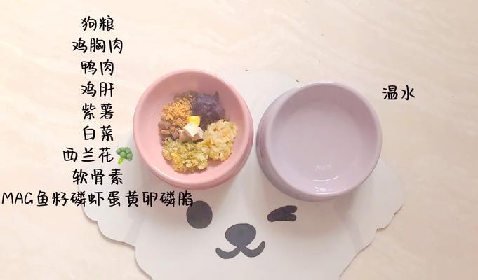 比熊幼犬需要换狗粮吗？如何正确喂食干粮？