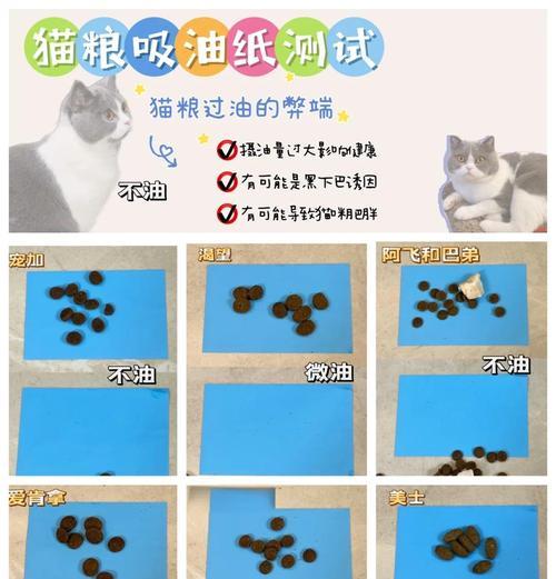 暹罗猫偏爱的9个月猫粮是哪一款？如何选择？