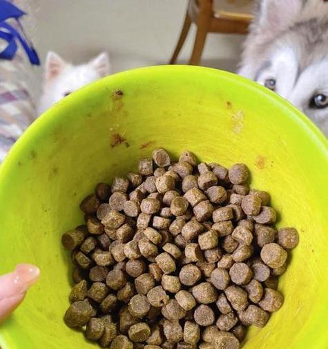 四个月大的比熊每天应该吃多少狗粮？