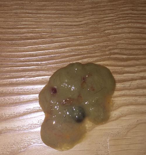 两个月幼犬吃完狗粮吐了？这是什么原因导致的？