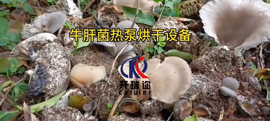 无锡宠物食品烘干机价格是多少？