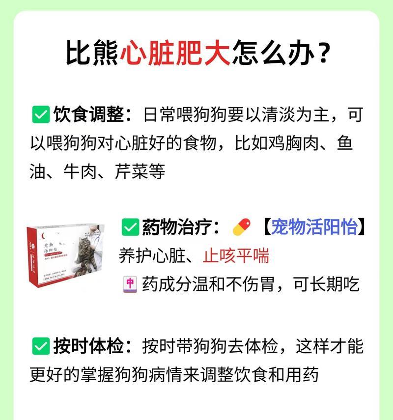 比熊犬的饮食中加入鸡胸肉是否足够营养？如何确保营养均衡？