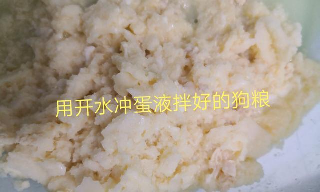 用鸡蛋做狗粮好不好？如何确保营养和安全？