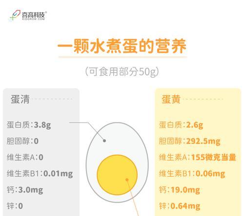 用鸡蛋做狗粮好不好？如何确保营养和安全？