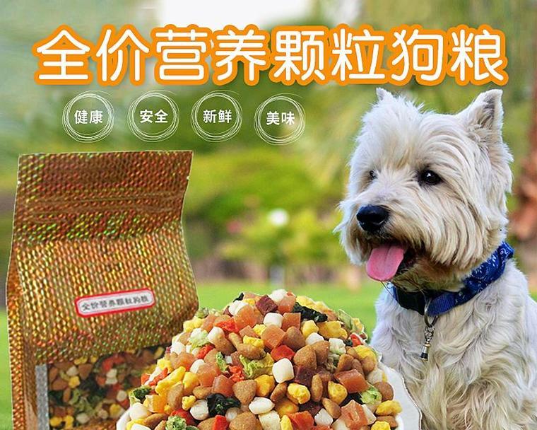 比熊孕期应该如何搭配营养？