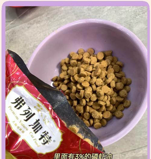 加菲猫的最佳猫粮品牌是什么？如何选择合适的猫粮？