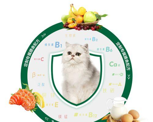 加菲猫的最佳猫粮品牌是什么？如何选择合适的猫粮？