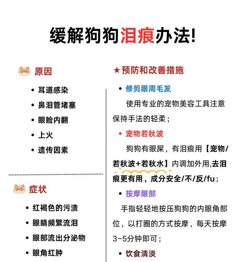 比熊眼角发红应该怎么办？有哪些可能的原因和处理方法？
