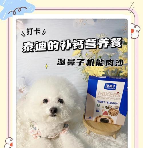 泰迪幼犬什么都吃却拒绝狗粮怎么办？如何改善饮食习惯？