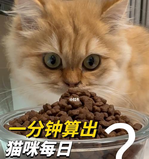 幼猫每次吃猫粮应该吃多少颗？如何确定幼猫的正确喂食量？