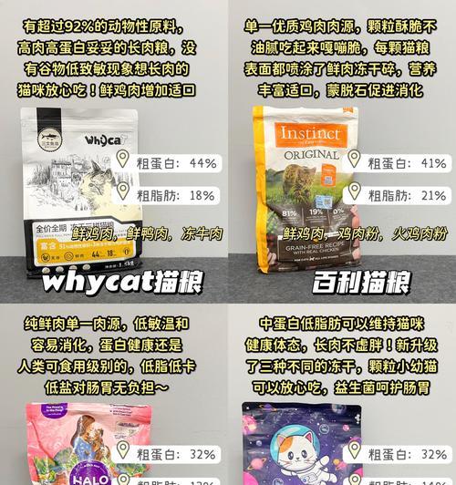 布偶猫群养时猫粮的选择与管理方法？