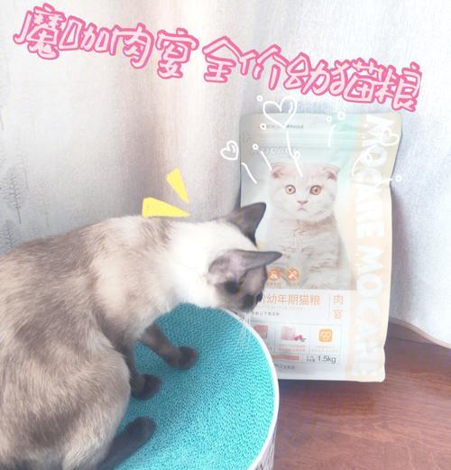 幼猫112月加菲猫应该吃什么猫粮？