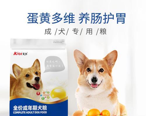 三个月比熊每天应该喂多少蛋黄？喂食蛋黄的正确方法是什么？