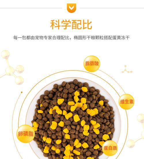 三个月比熊每天应该喂多少蛋黄？喂食蛋黄的正确方法是什么？