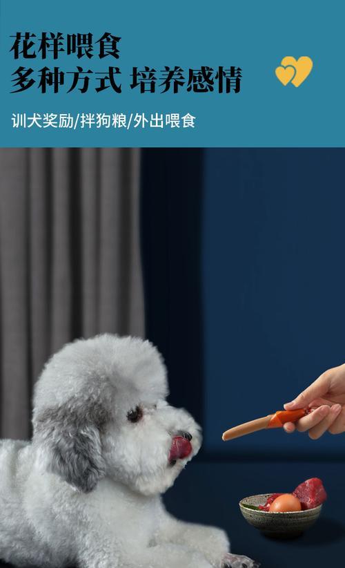 金毛幼犬适合吃烤肉肠吗？有哪些潜在风险？