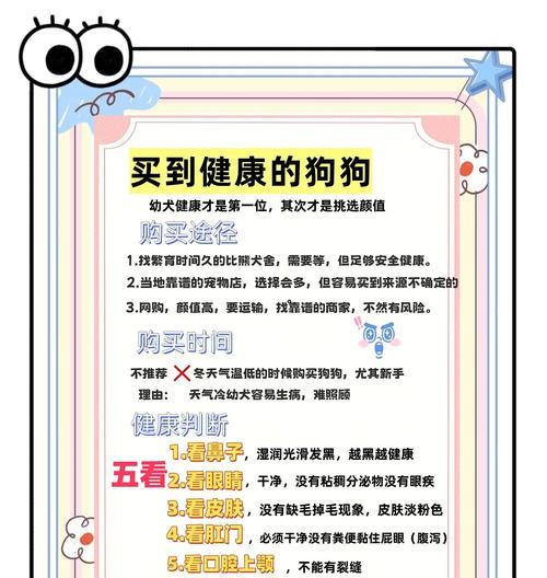 两个月小比熊每次吃狗粮应该喂多少？如何避免过量？