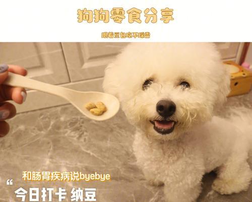 45天大的比熊应该吃什么？