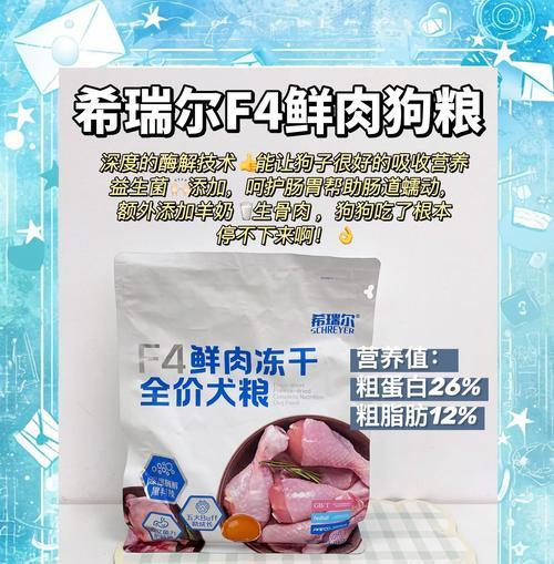 四个月比熊狗一天喂几次狗粮最合适？如何制定喂食计划？