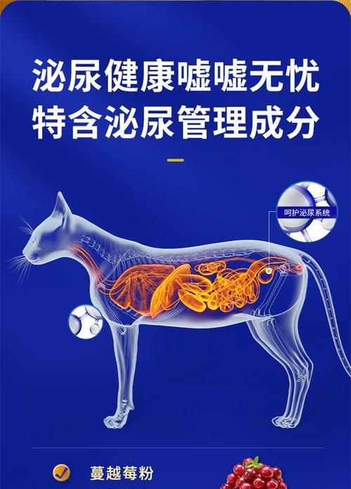 加菲猫适合哪种猫粮？如何选择最佳猫粮？