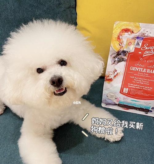 比熊吃蔬菜需要放盐吗？不放盐有什么影响？