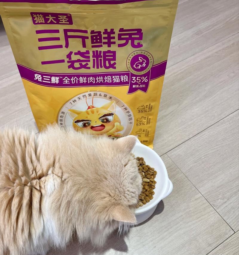 幼猫吃猫粮应该吃多少？吃多少毫升猫粮是正常的？