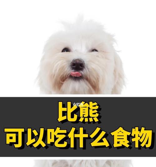 幼犬比熊吃狗粮能拌奶粉吗？如何正确为幼犬比熊添加奶粉？
