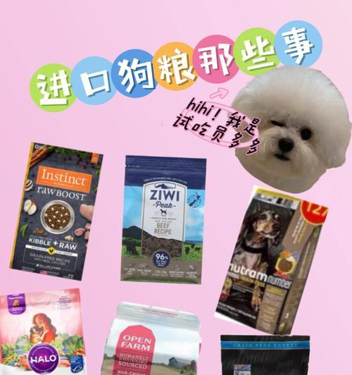 幼犬比熊吃狗粮能拌奶粉吗？如何正确为幼犬比熊添加奶粉？