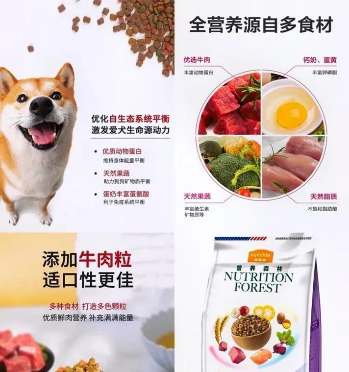 2个半月的柴犬应该吃什么狗粮？哪种狗粮最适合？