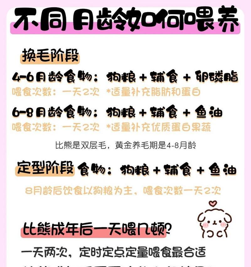 三个月大的比熊喂食指南是什么？