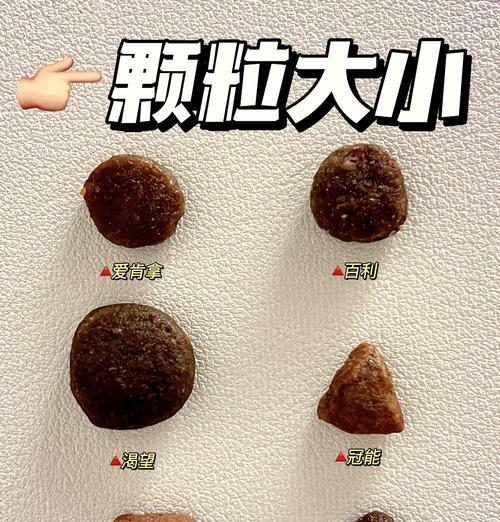四个月大的比熊狗狗应该吃多少狗粮？喂食指南是什么？
