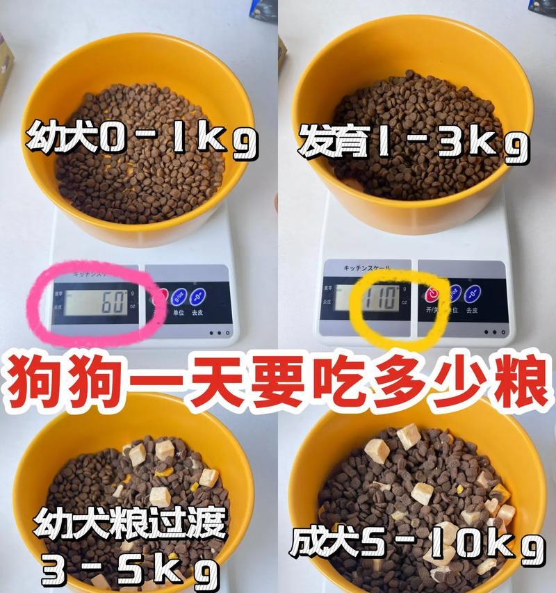 四个多月狗狗一顿吃多少狗粮？如何确定合适的分量？