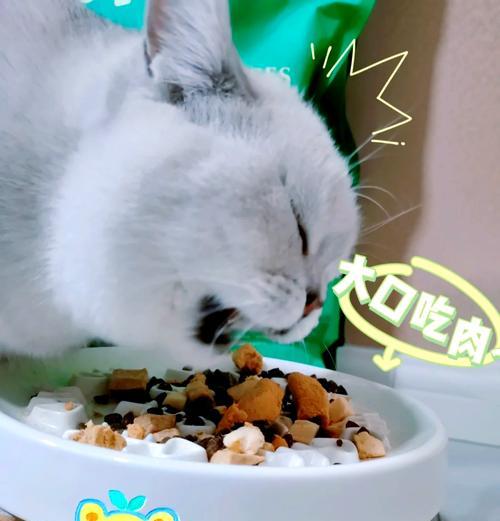 加菲猫吃什么牌子的猫粮对肠胃更好？如何挑选？