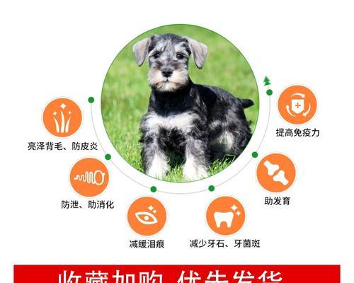 三个月的小比熊还能喂什么狗粮？如何选择适合的狗粮？