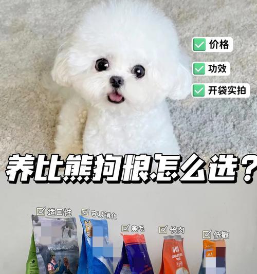 三个月的小比熊还能喂什么狗粮？如何选择适合的狗粮？