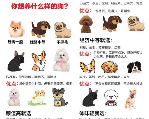 比熊犬每顿应该吃多少克粮食？如何确定它们的最佳食量？