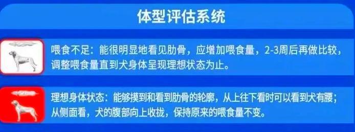 喂狗狗粮掺多少玉米面和水合适吗？如何科学配比？