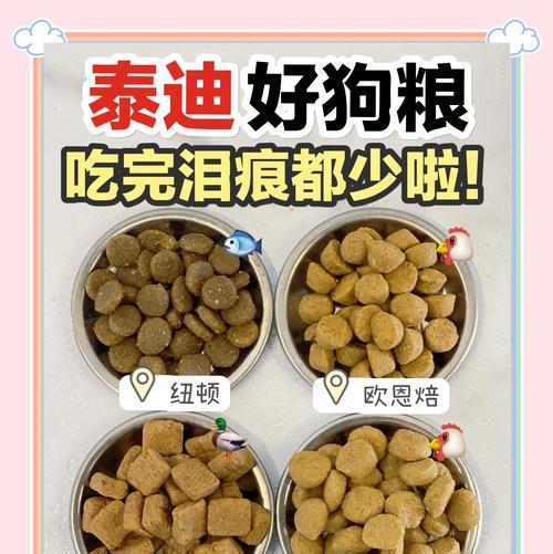 哪种狗粮最适合贵宾犬训练时食用？
