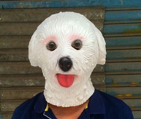 戴动物头套的贵宾犬有何特别名字？